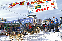 Iditarod (c) Public Relations Department for Visit Anchorage / Cathryn Posey
