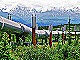 Alaska-Pipeline